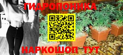 индика Усть-Илимск