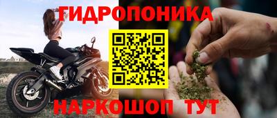 индика Усть-Илимск