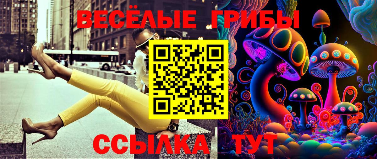 Псилоцибиновые грибы ЛСД  Галлюциногенные грибы Magic Shrooms  Сосновый Бор  Вход с VPN 